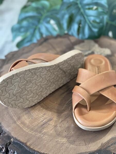 Pierre Cardin Parmak Arası Taba Terlik PC7107