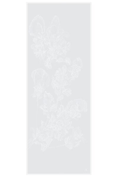 Maisa Saye 70x190 Krep İpek Şal